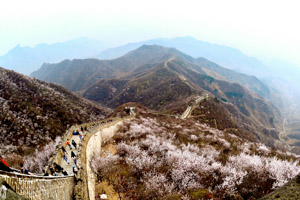 Great Wall in Spring